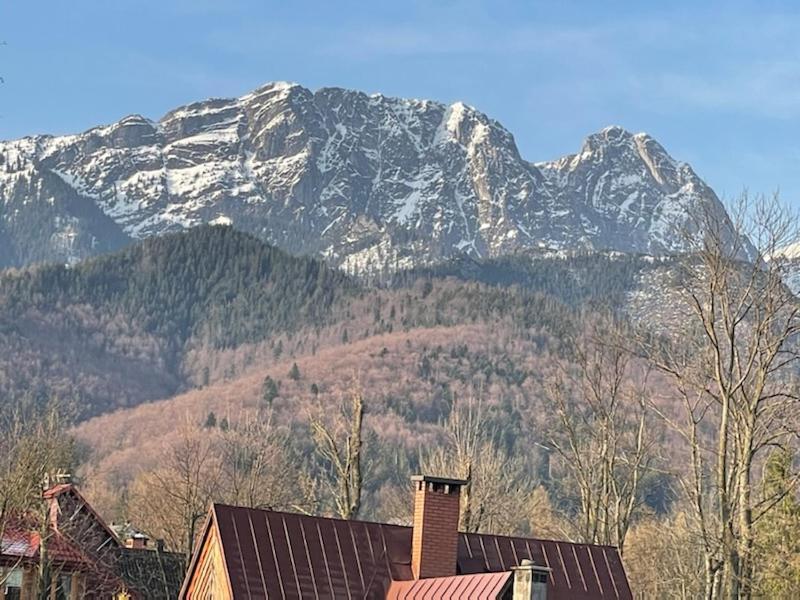Modrzejewska Residence Zakopane Dış mekan fotoğraf